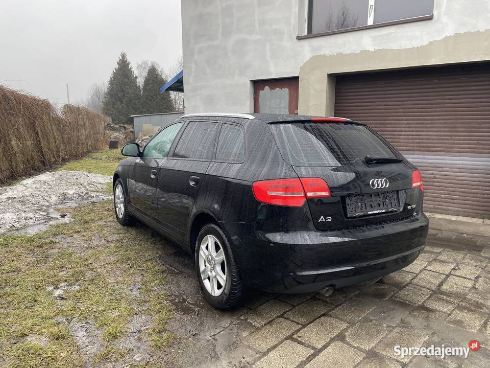 Audi A3 8p 2010 16 194 przebieg Lift Zadbana A3 Motoryzacja Żywiec