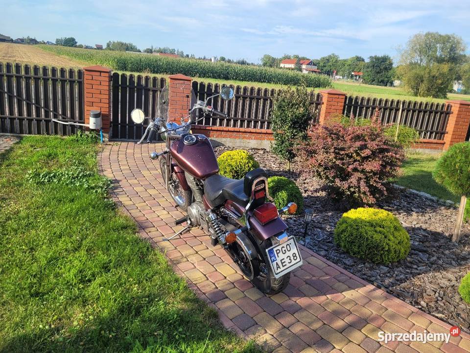Suzuki savage ls650 nieuszkodzony Lututów