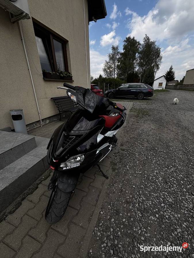 Aprlia SR 50 factory piaggio Rok produkcji 2008 Motocykle, skutery, quady Piotrków Trybunalski