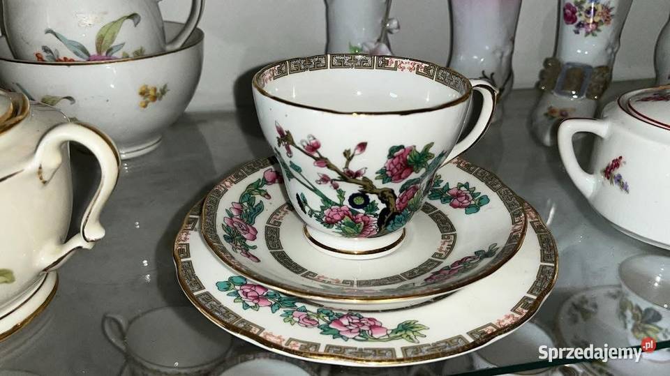 Mlecznik Duchess Madę in England Gdańsk