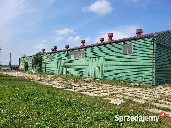 Sprzedam magazyn w Grabowie o pow 109705 m2