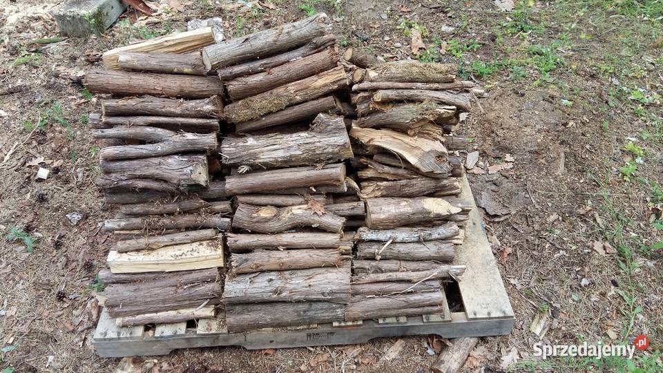 Jałowiec drewno jałowca aromatyczny do wędzenia Siemiatycze
