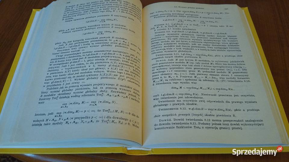 Wstęp do algebry homologicznej Stanisław matematyka, statystyka pomorskie Gdańsk