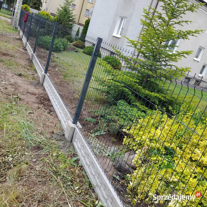 ogrodzeia i bramy mazowieckie Młock