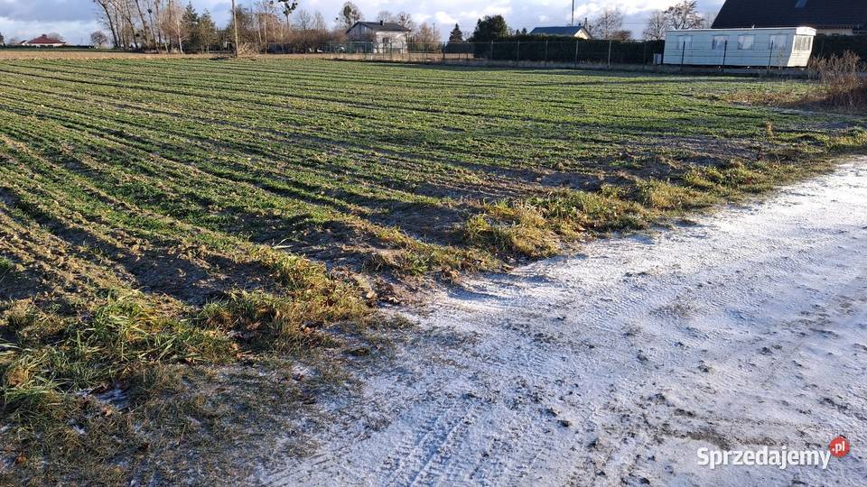 Działka budowlana GIEWARTÓW gm Ostrowite MPZP Giewartów sprzedam