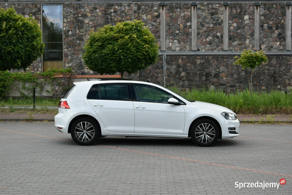 Volkswagen Golf Allstar 14TSi 125 Manual 2017r nieuszkodzony Kampinos