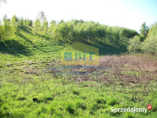 Działka 219 ha jeziorze Drawsko Siemczyno