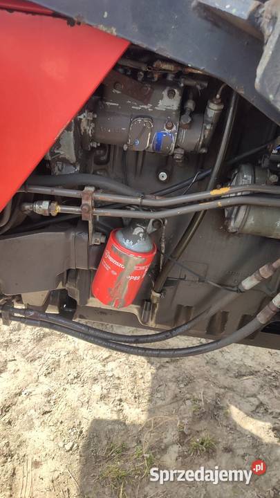 Massey Ferguson 373 oryginał Węchadłów sprzedam