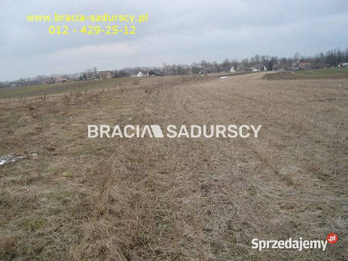 Działka 8900m2 Niewiarów