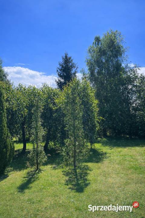 sprzedam dom morza z dużą działką Sprzedaż Jarszewo sprzedam