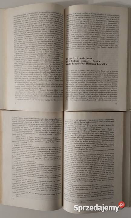 Raz w roku w Skiroławkach Zbigniew Nienacki łódzkie