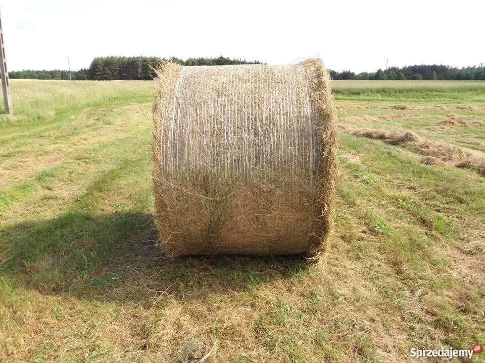 Prasa KRONE KR 160 kujawsko-pomorskie