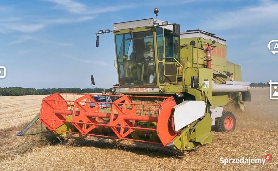 Kombajn zbożowy Claas Dominator 105 Bielany Wrocławskie