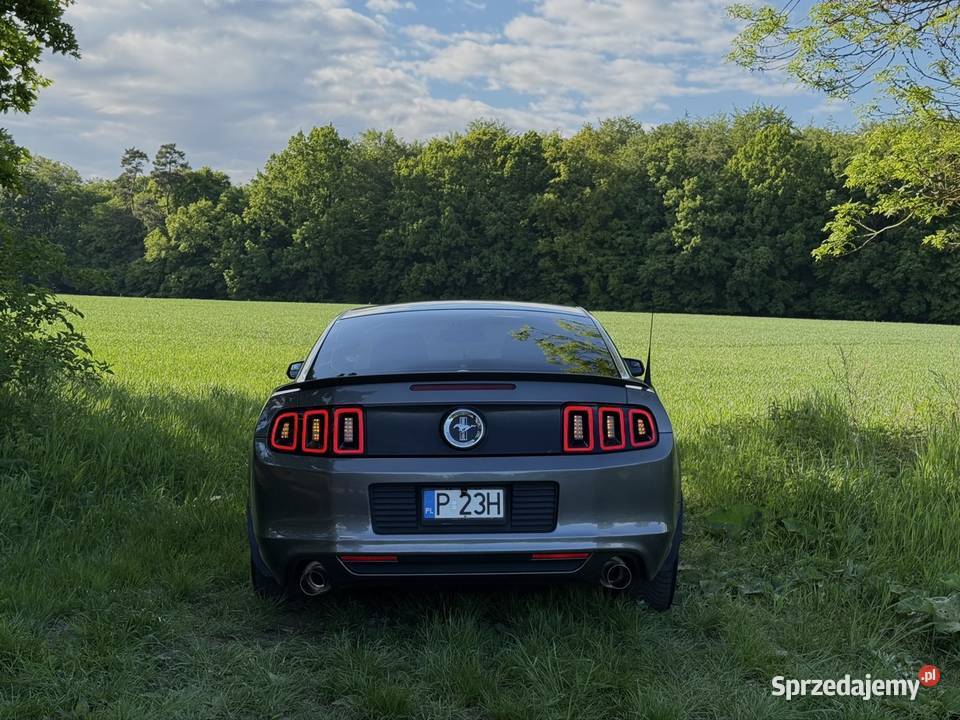 Mustang Ford 37 S197 LPG 309 pony package isofix Szczecin