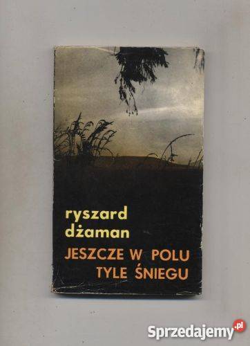 Jeszcze w polu tyle śniegu Szczecin