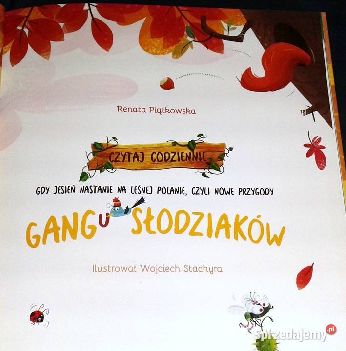 Gdy jesień nastanie na leśnej polanie czyli nowe Książki i Podręczniki Chełm