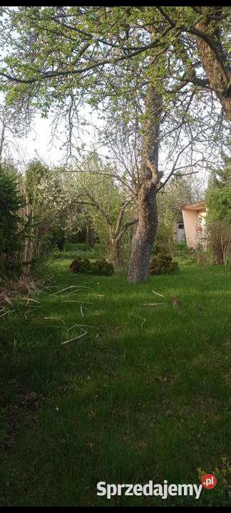 Sprzedam ogródek działkowy ROD Jedność śląskie Bytom sprzedam