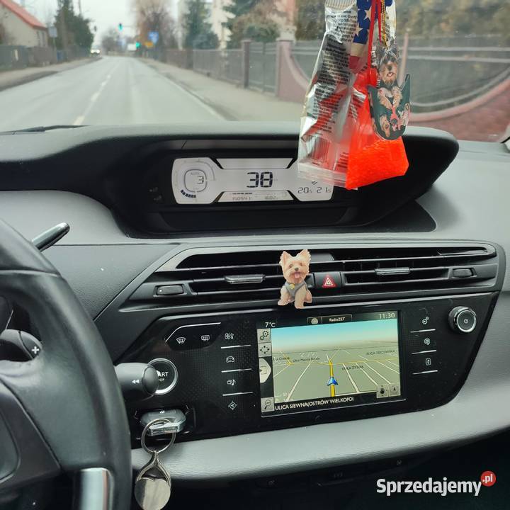 Citroen C4 Picasso Ostrów Wielkopolski