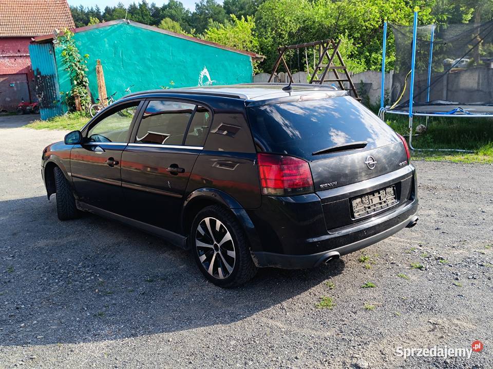 Opel Signum 30 V6 CDTI 177 2005 r Bogata Wersja Trzebiel