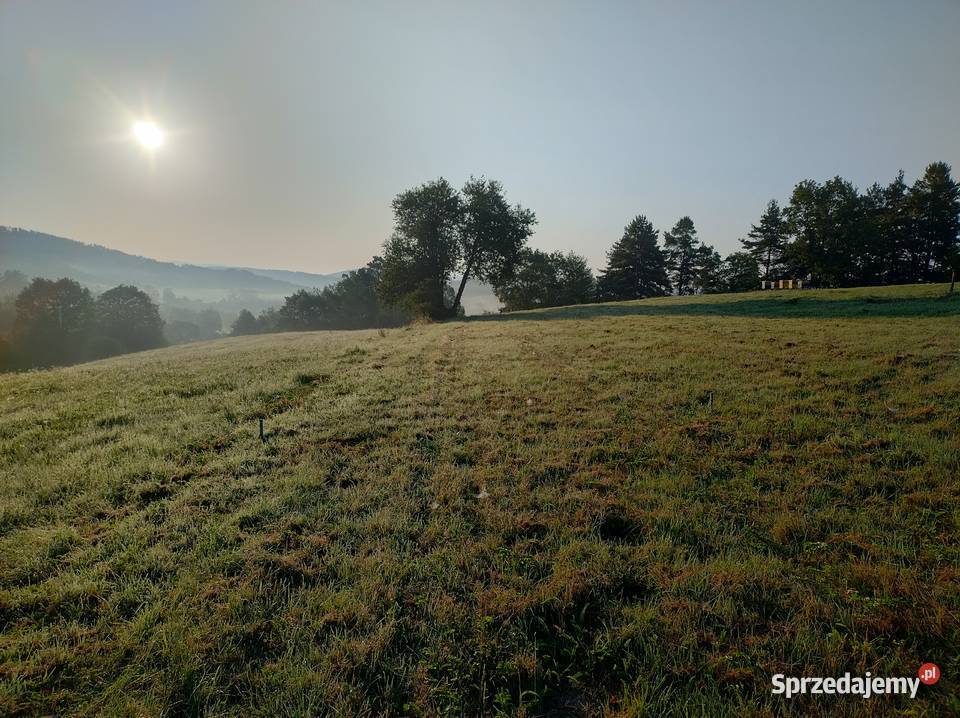 Działka widokowa z warunkami zabudowy 11 arów 1100m2 Dziurdziów