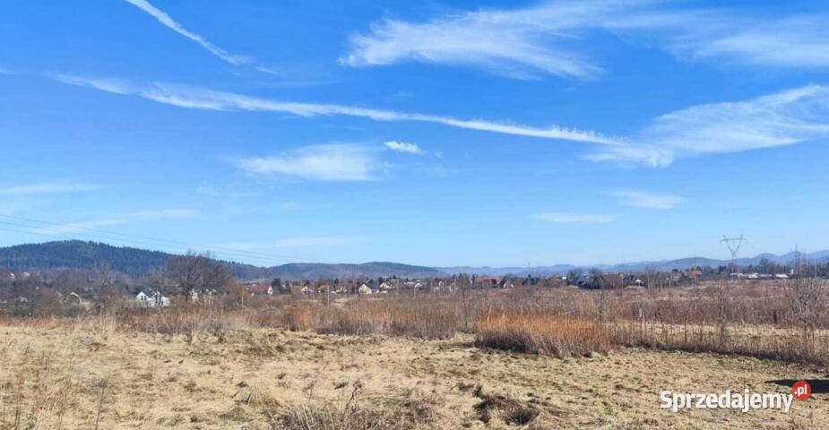 Działka na sprzedaż Wojcieszyce 1103 metry