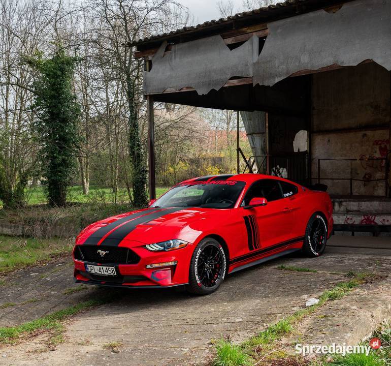 Ford Mustang Performance Full Automat 2261cm3 Wrocław