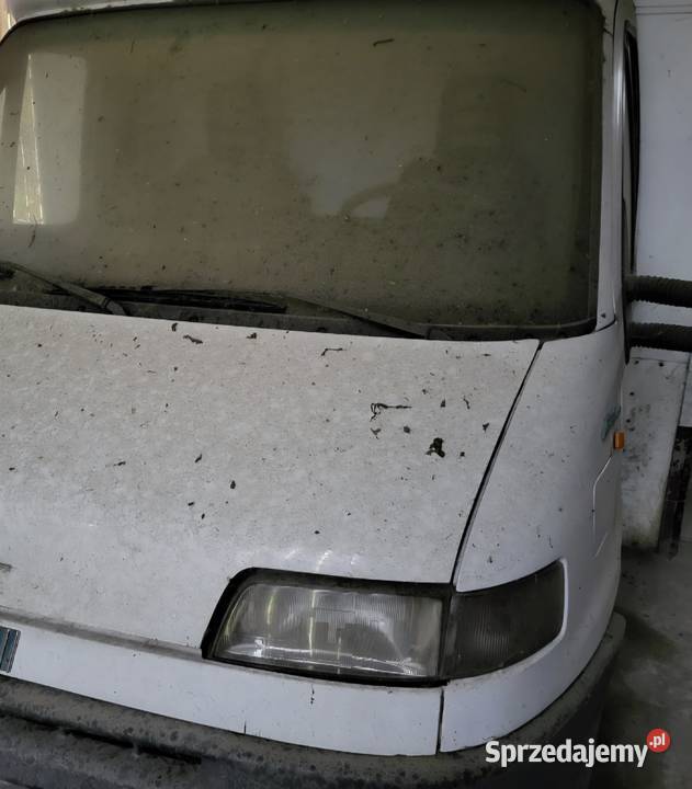 Bus Fiat Ducato 25 sklep lada chłodnicza Ryki sprzedam