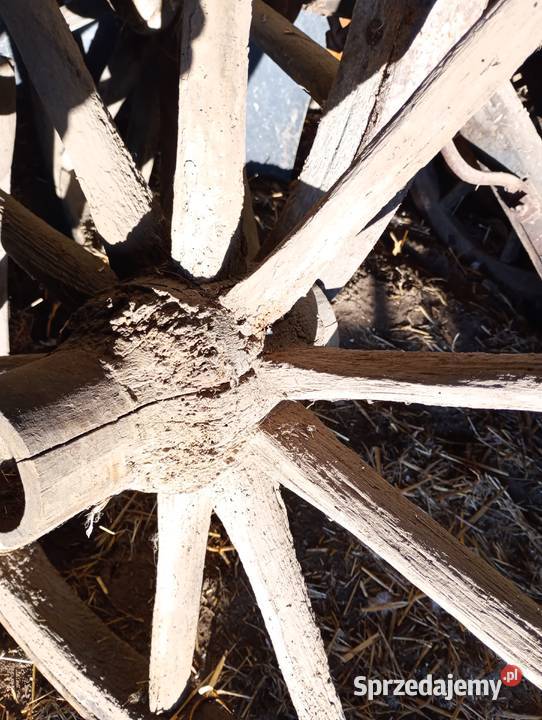 Koło wóz konny Radomsko