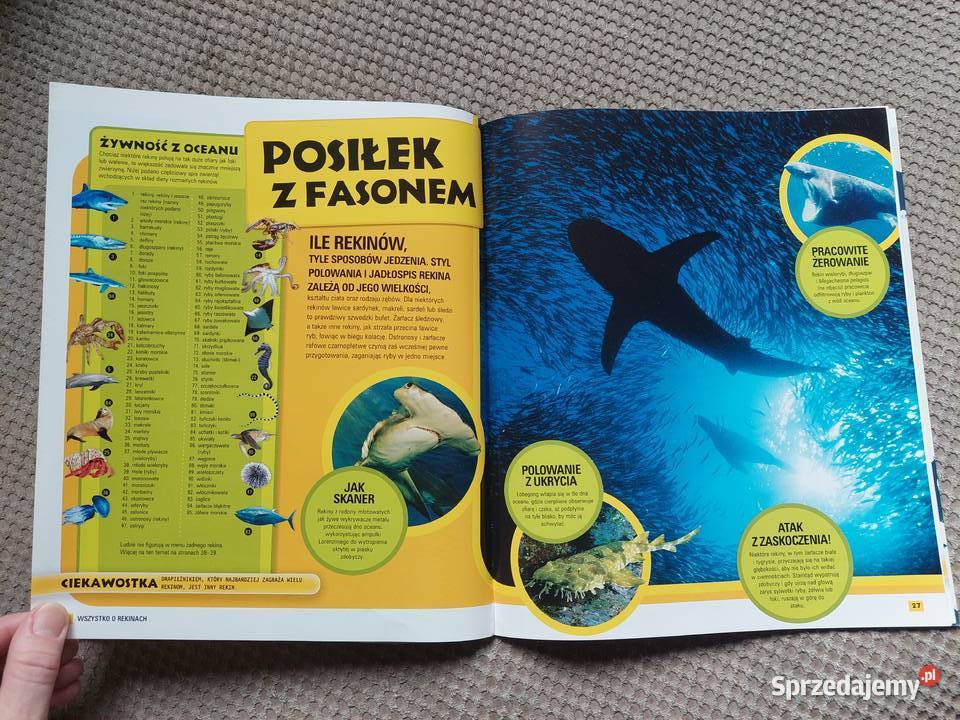 National Geographic Kids Wszystko o rekinach Kraków