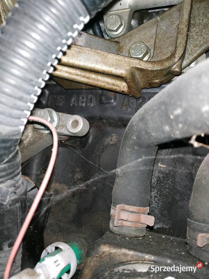 Renault Kangoo 4x4 silnik 19 dci skrzynia biegów Miechów