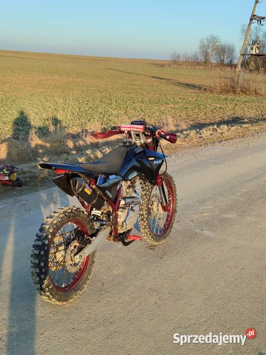 Diabolini 250 Diabolini Wierciszów