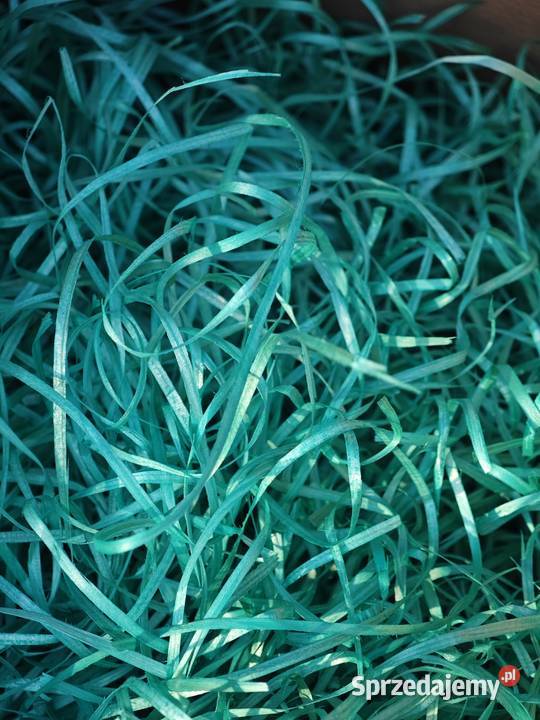 Wełna drzewna kolorowa Rozprza