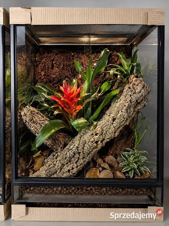 Terrarium 40x40x60 śląskie Dąbrowa Górnicza