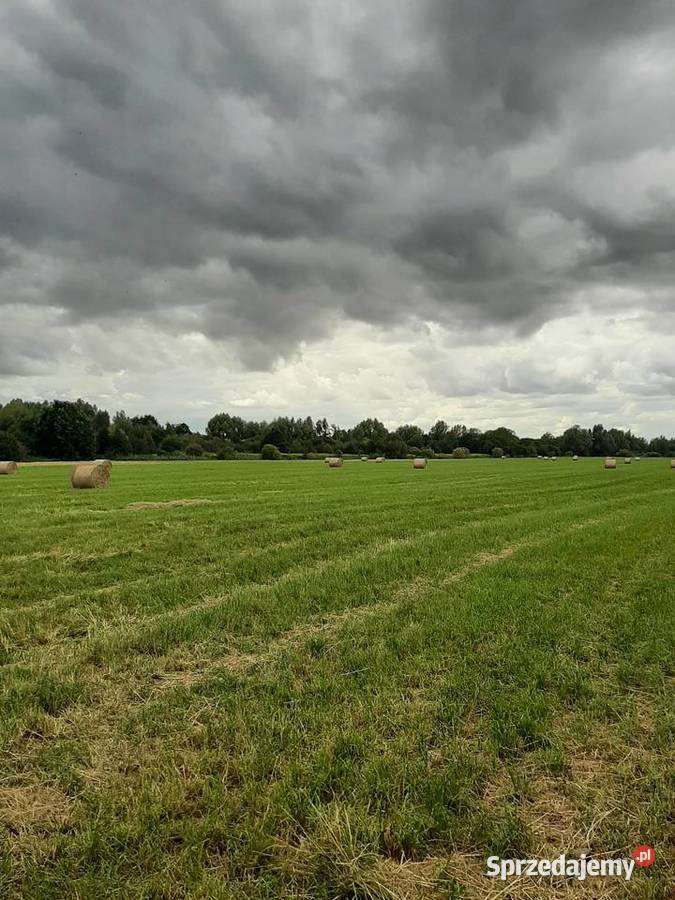 Słoma jeczmienna z trawą w belach warmińsko-mazurskie Elbląg