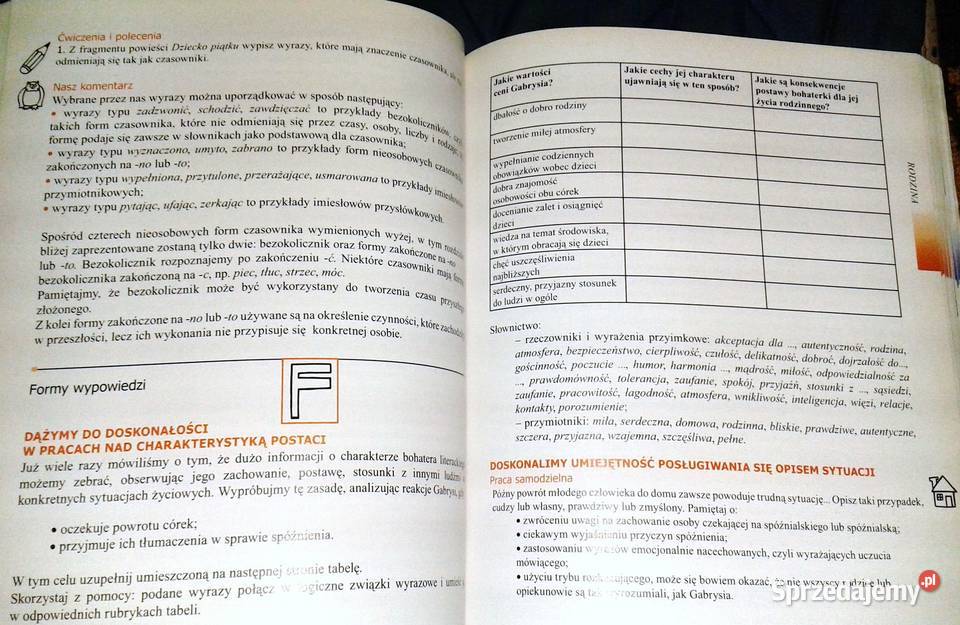 Czas na polski Podręcznik gimnazjalistów kl 1 Pozostałe Chełm