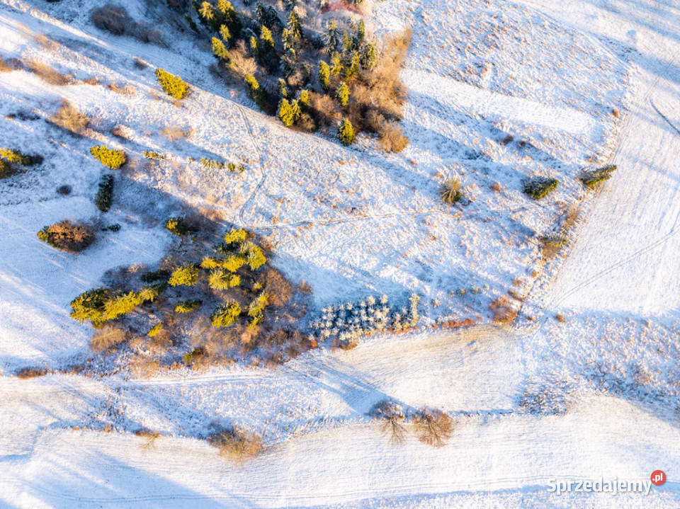 Działka w Szaflarach Szaflary