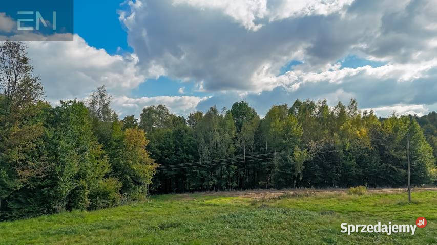 Działka 4000m2 Żyznów