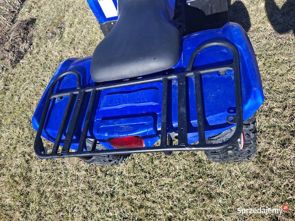 Yamaha bruin grozili 250 Świdnica