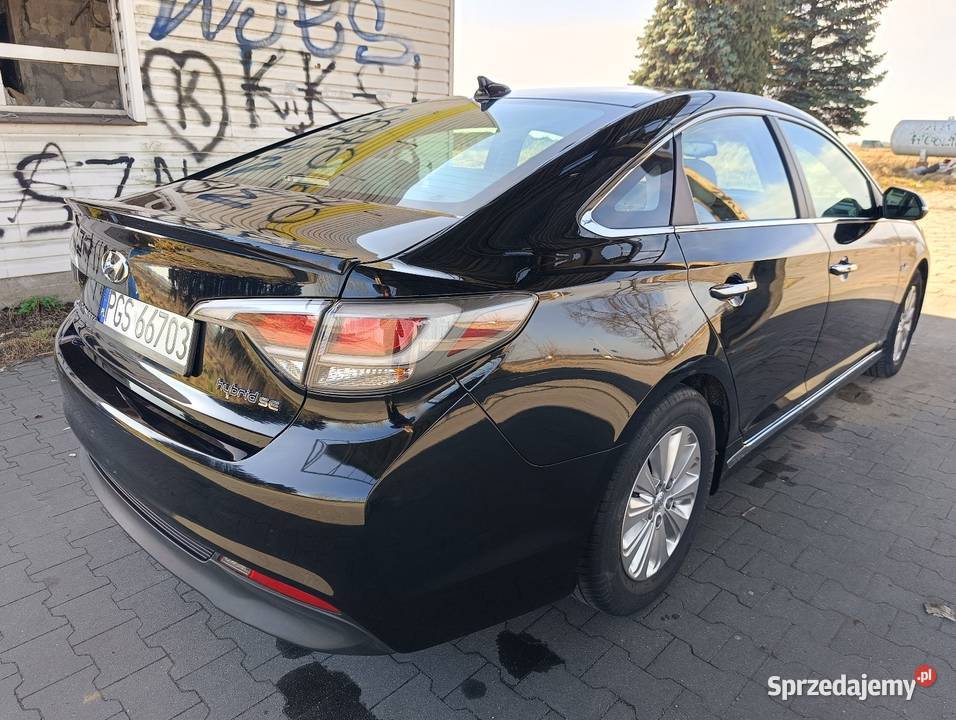 Hyundai Sonata 20 Hybryda Mały Przebieg Leszno