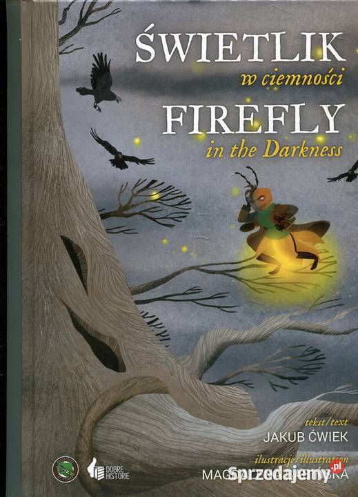 Świetlik w ciemności Firefly in the Darkness zachodniopomorskie