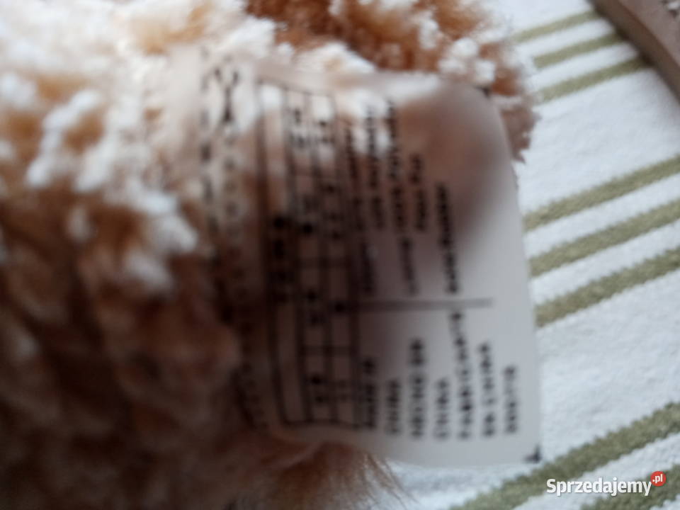 Buty zimowe TOMS Warszawa