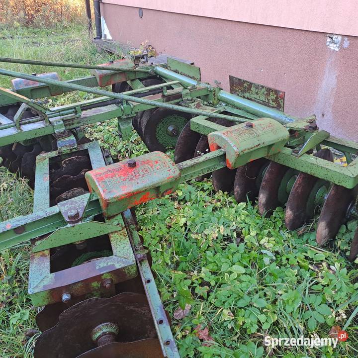 Talerzówka Eberhardt świętokrzyskie Piórków-Kolonia