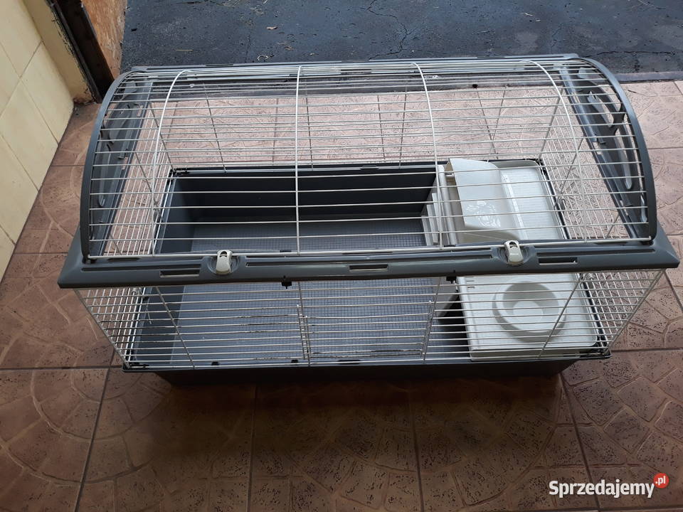 Klatka gryzoni Katowice
