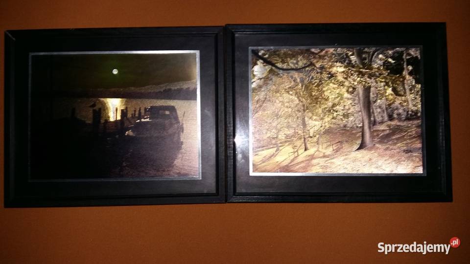 Obraz laserowy 22x27 jesień i zachód słońca na Łódź