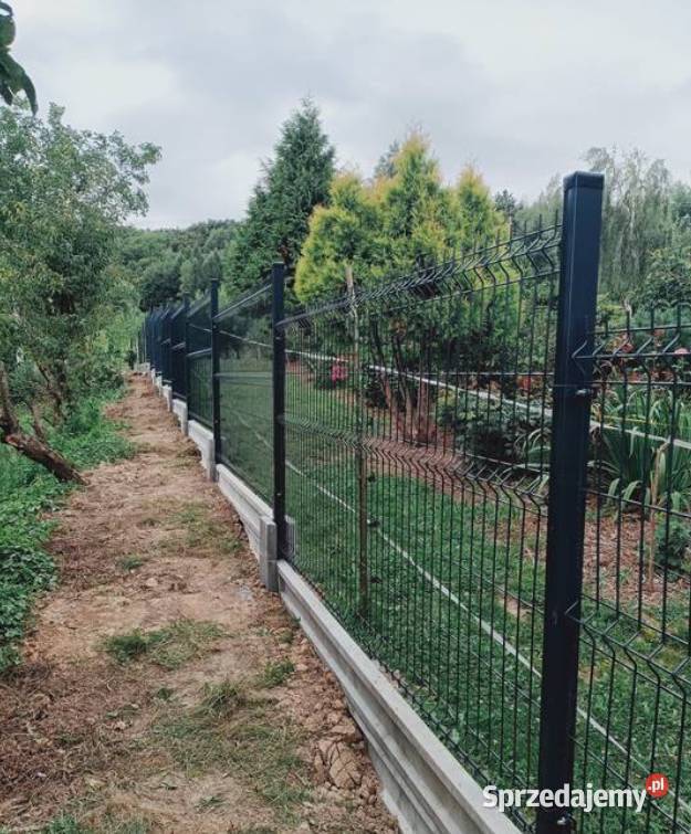 Panel ogrodzeniowy PROMOCJA 123x250 fi4mm Gorlice