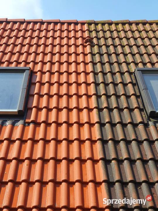 Mycie elewacji i dachów Wynajem podnośnika Gdańsk