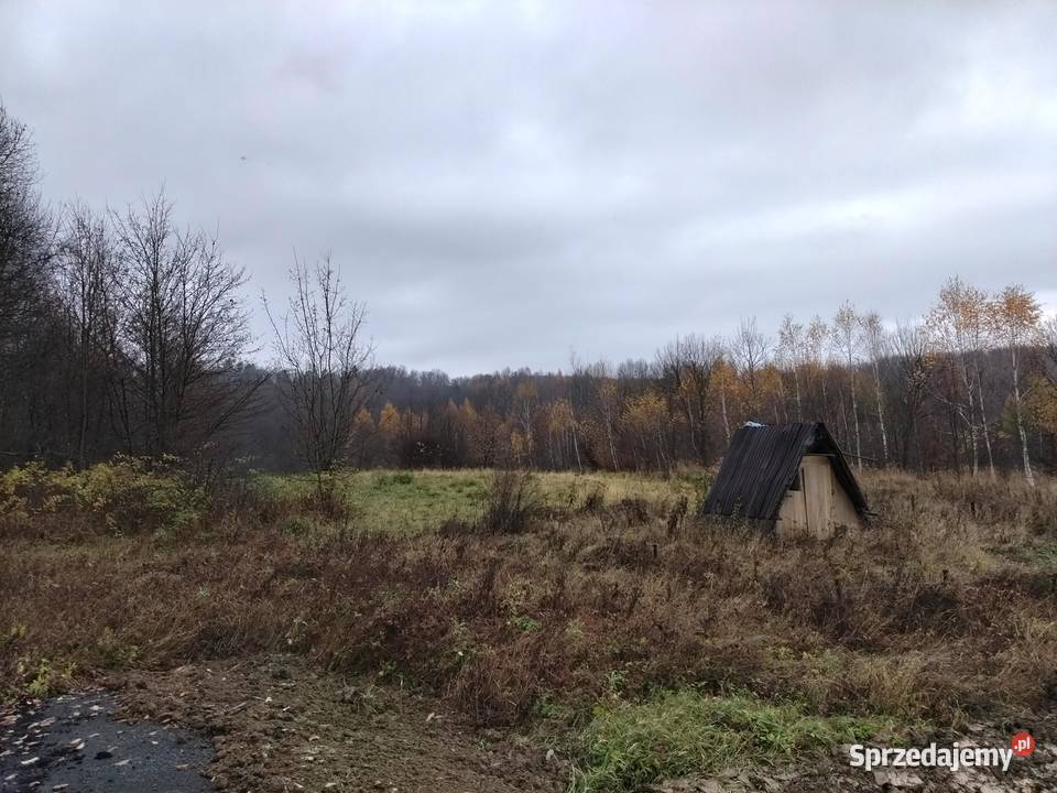 Sprzedam działę Pozostałe