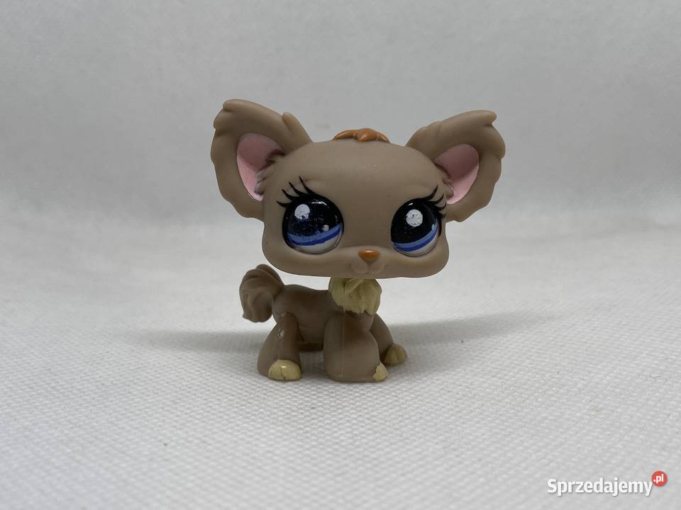 LPS Littlest pet shop pies chihuahua 1393 Hasbro Łódź