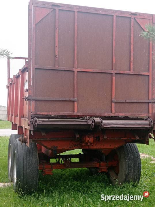 Rozrzutnik nieuszkodzony Stara Kornica