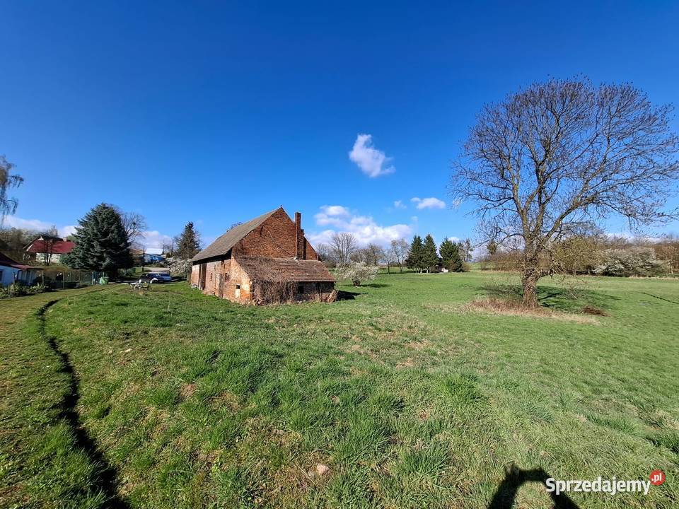 Działka budowlana 10991mkw Kowale Oborniki 10991m2